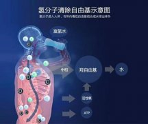 為什么人要吸氫，吸氫有什么好處？
