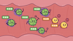 氫氣能促進(jìn)腸道菌落健康