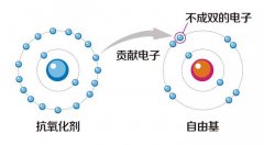 氫氣促進(jìn)健康，是簡單安全的工具！