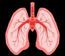 分子氫對(duì)放射性肺炎的作用