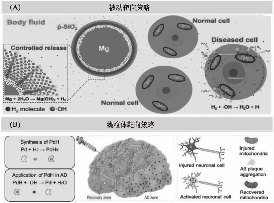 氫氣治療癌癥最新進(jìn)展_氫氣治療癌癥是真的嗎_氫氣治療