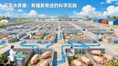 富氫水養(yǎng)豬：養(yǎng)殖新奇跡的科學(xué)實(shí)踐